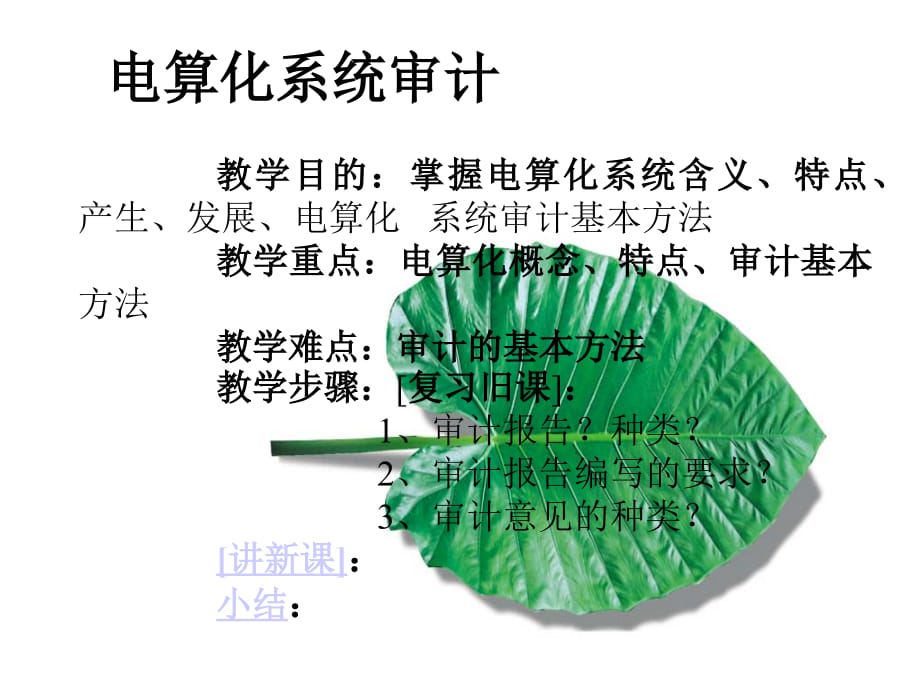 《精编》电算化系统审计-1_第1页