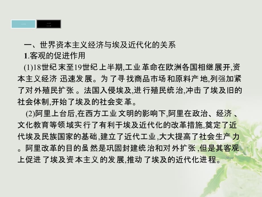 2017-2018学年高中历史 第六单元 穆罕默德&ampamp;#8226;阿里改革课件 新人教版选修1_第3页