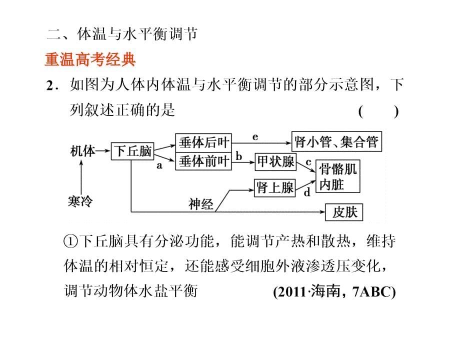 2012高考生物步步高二轮复习精品课件专题五 生命活动的调节_第5页