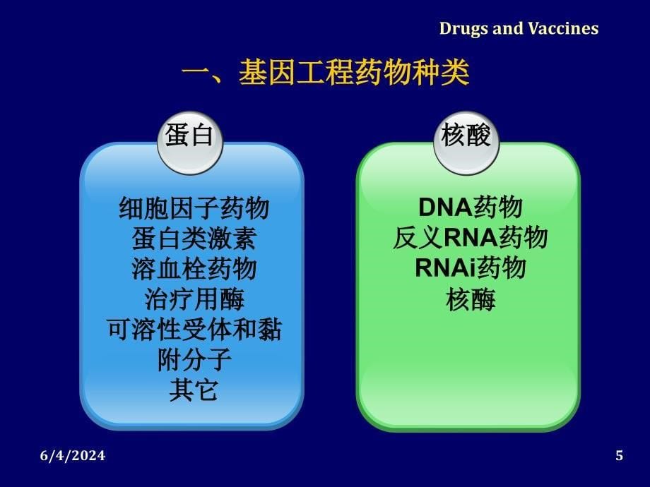 基因工程药物与疫苗-课件_第5页