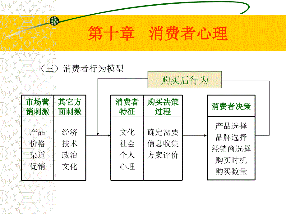 《精编》消费者心理_第3页