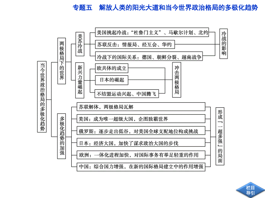 2013届高考历史二轮复习：专题5 解放人类的阳光大道和当今世界政治格局的多极化趋势_第3页