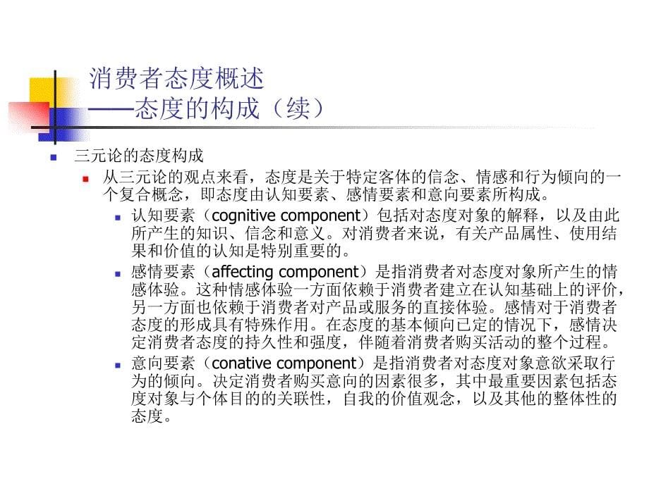 《精编》武汉大学商学院-《消费者行为学》讲义07_第5页