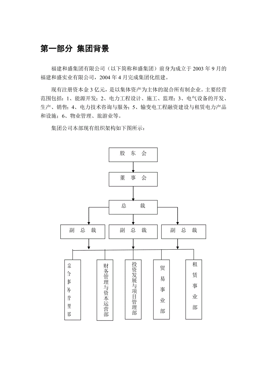 《精编》福建和盛集团发展战略_第2页