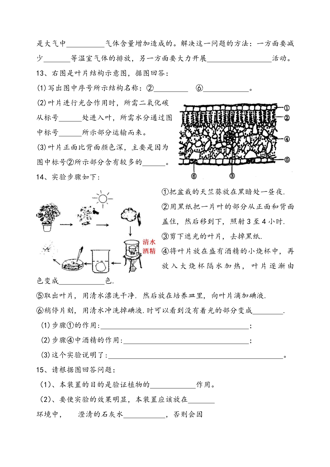 初中生物会考识图练习复习30767_第5页