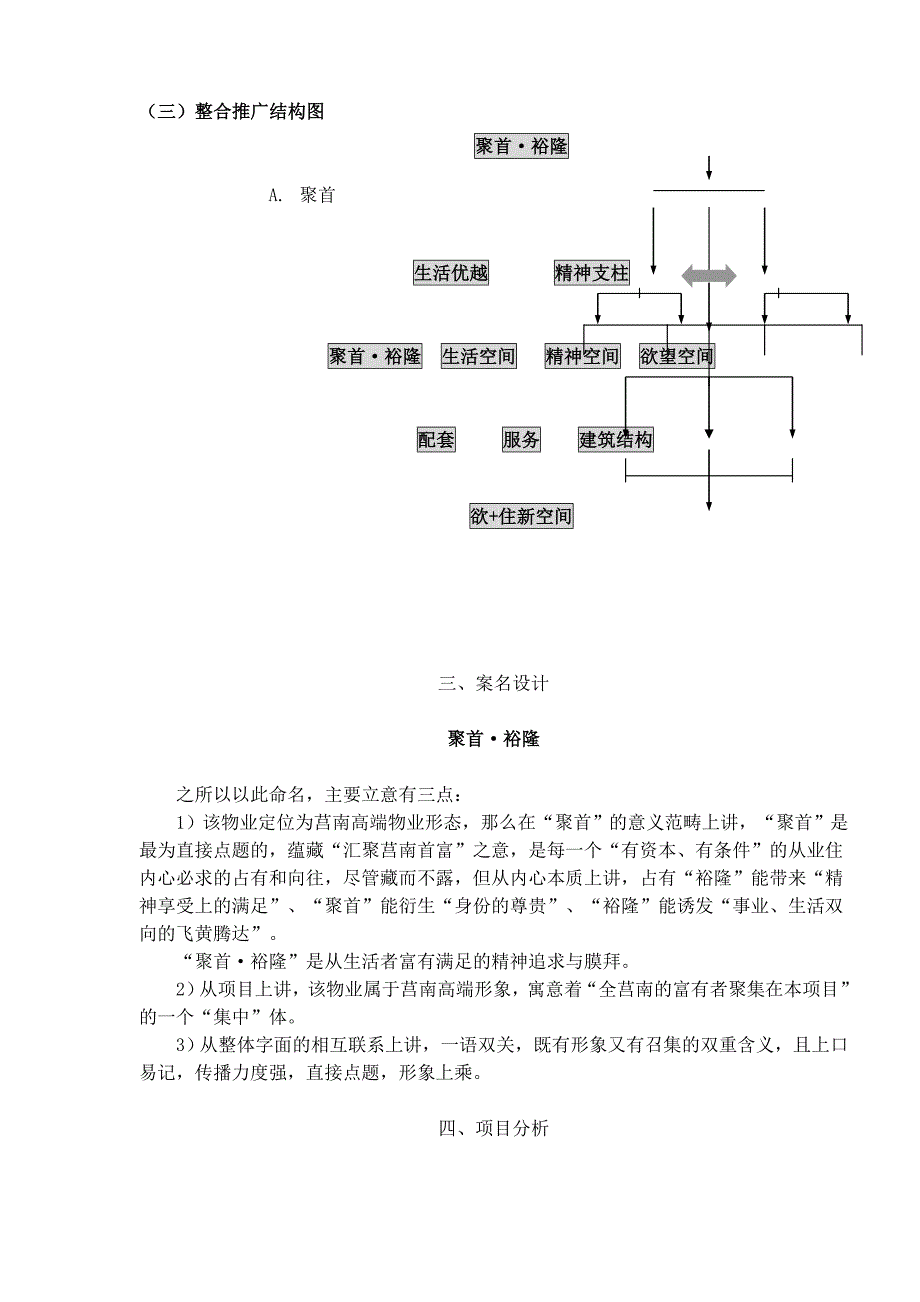 《精编》聚首裕隆推广思路_第3页