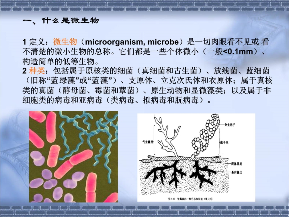 微生物学.培训课件_第3页