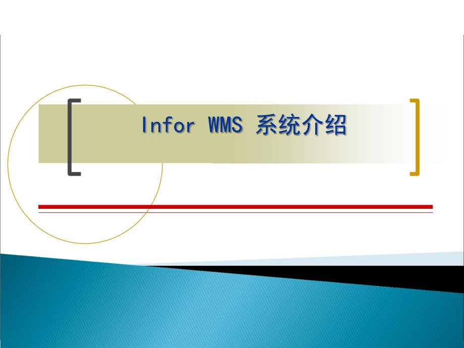 产品介绍(Infor-WMS系统)-课件剖析_第1页