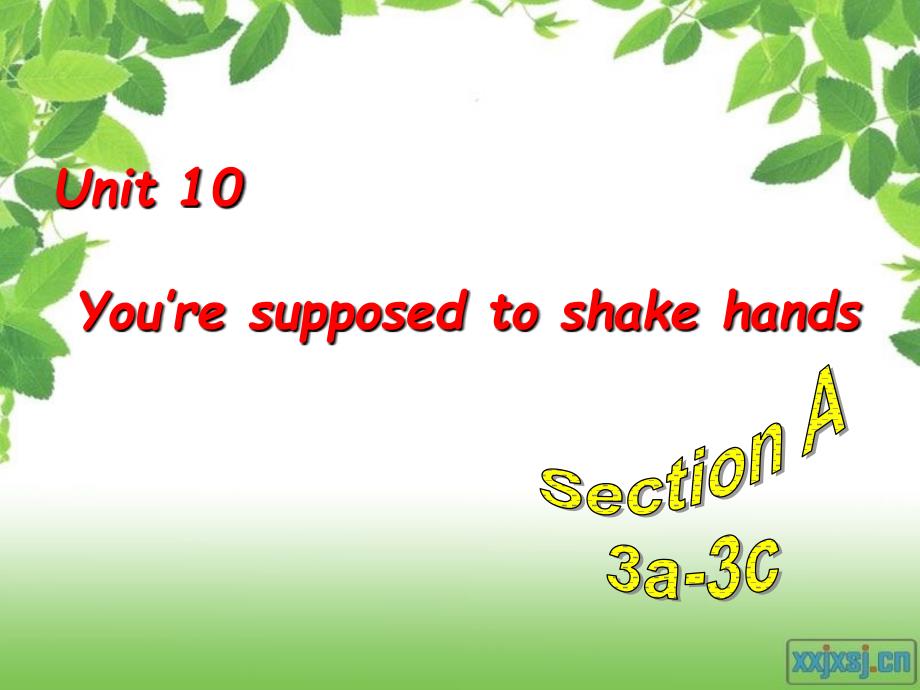 2014九年级英语Unit-10-You’re-supposed-to-shake-hands-SectonA-3a-3c_第1页