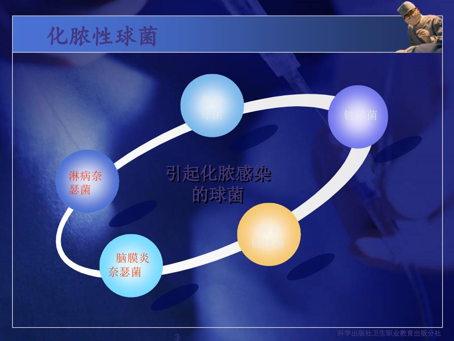 常见病原菌：化脓性细菌-文档_第3页