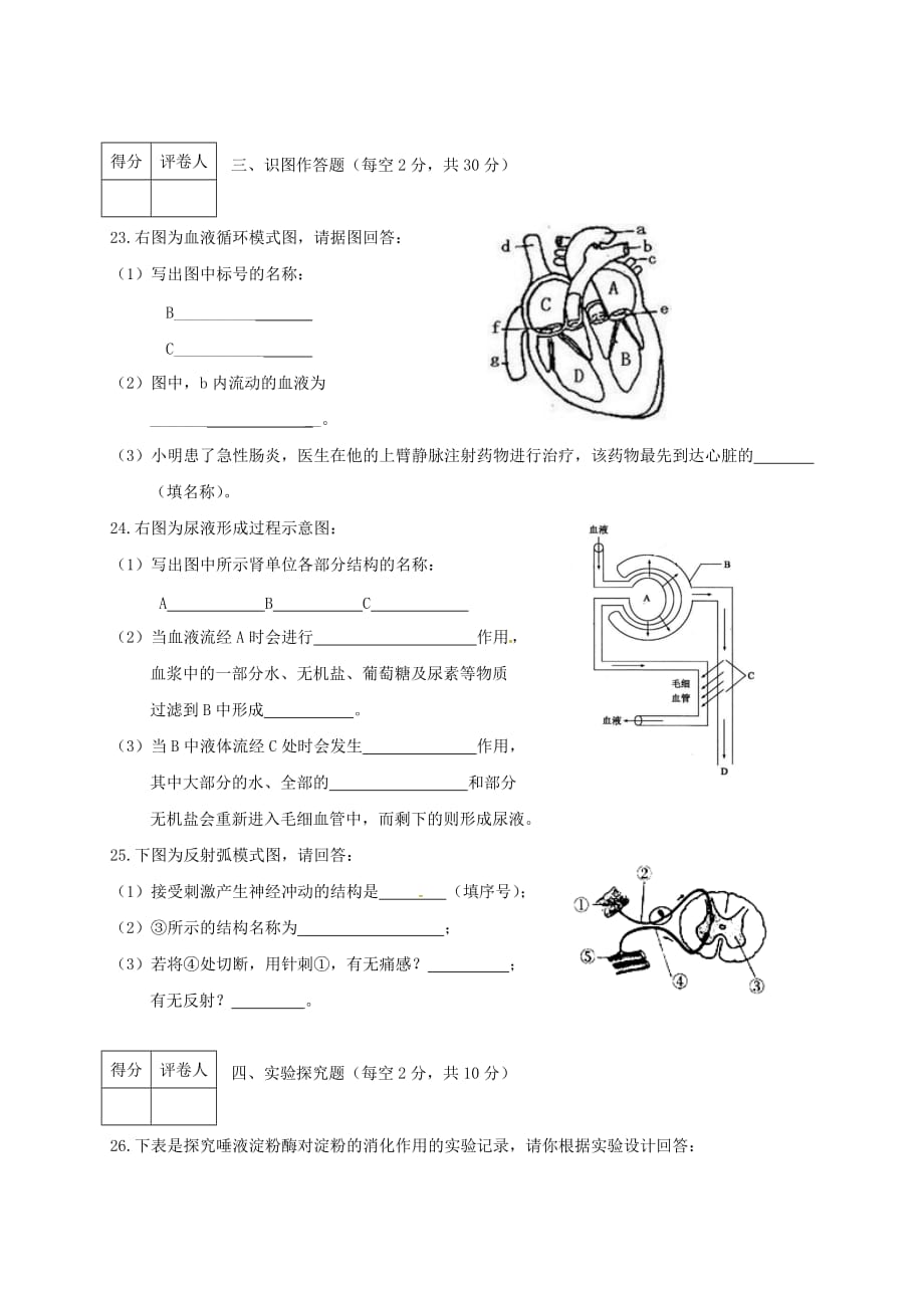 吉林省吉林市吉化第九中学校七年级生物下学期期末考试试题新人教版_第4页