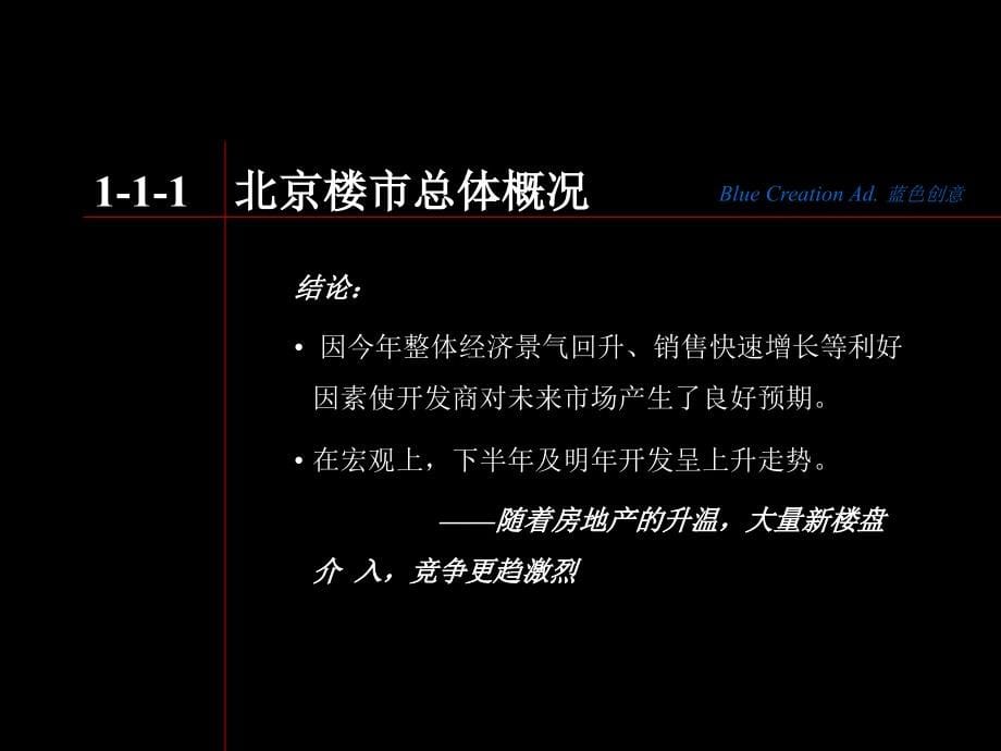 202X年东润枫景整体广告策划方案书_第5页