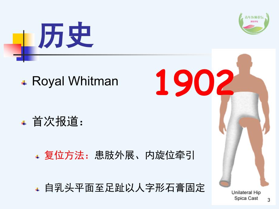 股骨粗隆间骨折内固定PPT幻灯片课件_第3页