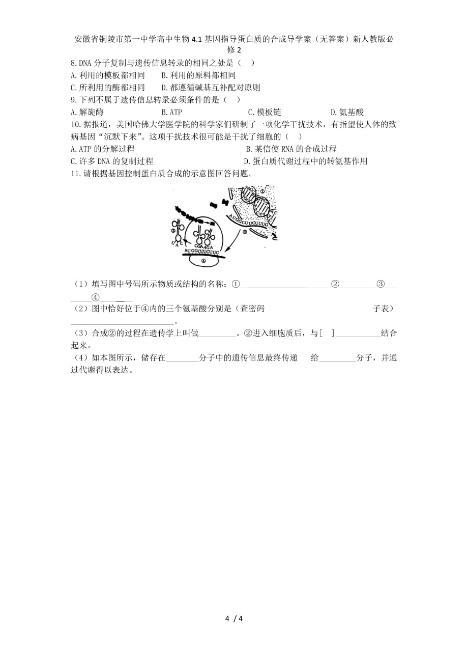 安徽省高中生物4.1基因指导蛋白质的合成导学案（无答案）新人教版必修2_第4页