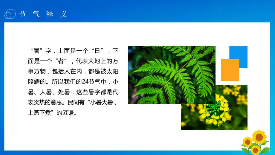 蓝色中国传统二十四节气小暑介绍PPT模板_第4页