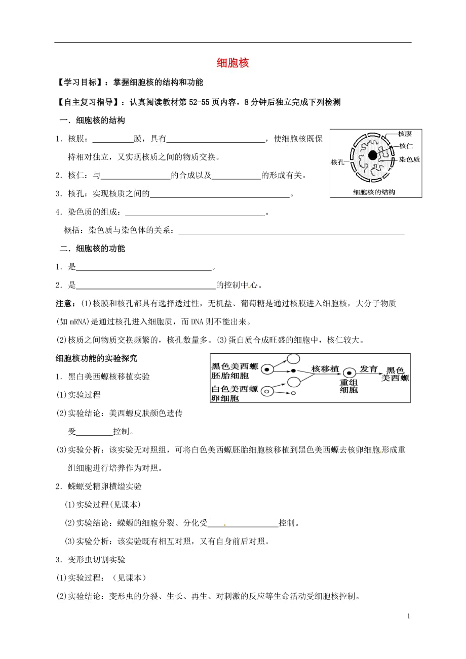 山东省乐陵市第一中学高三生物细胞核复习学案_第1页