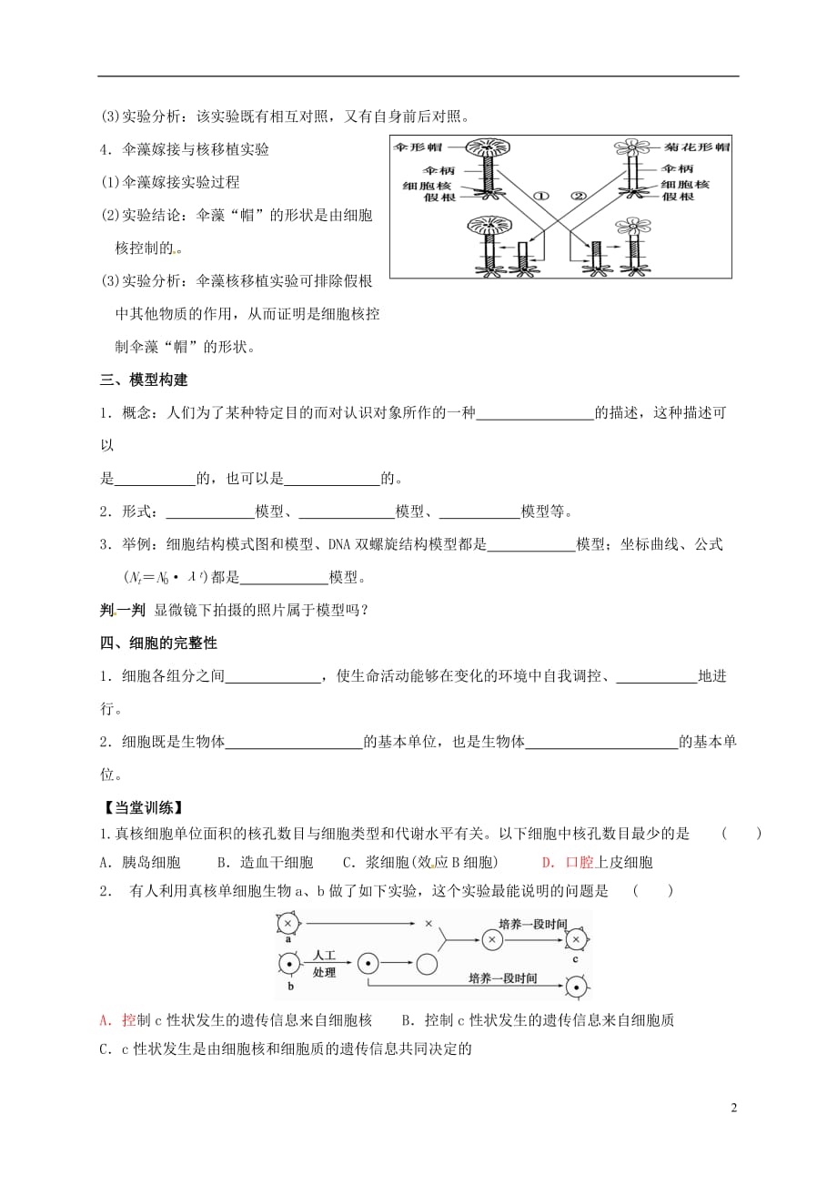 山东省乐陵市第一中学高三生物细胞核复习学案_第2页