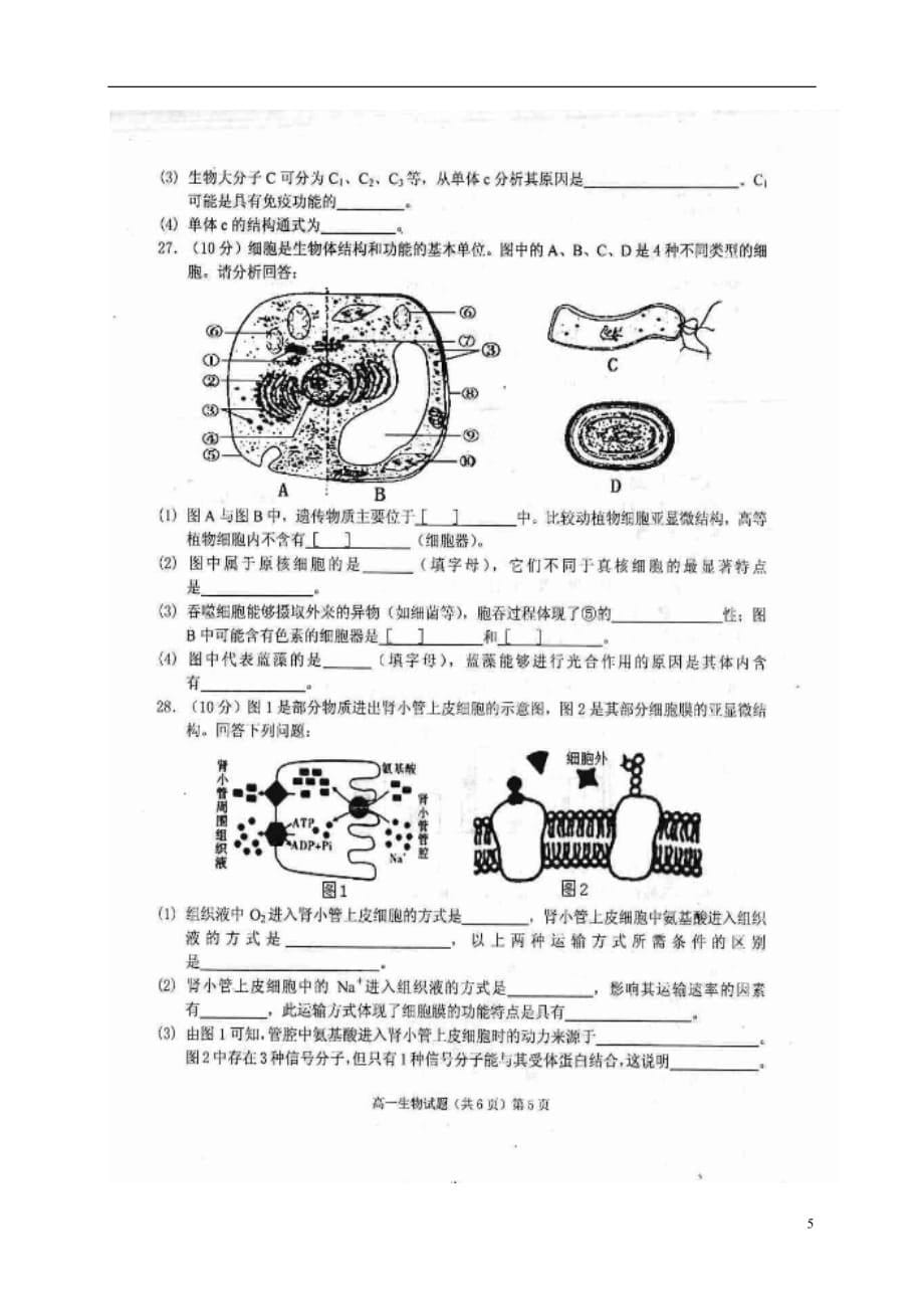 安徽省安庆市高一生物上学期期末考试试题（扫描版）_第5页