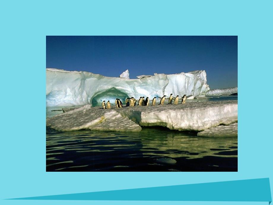 2017秋三年级语文上册 第28课 南极一片净土课件 语文S版_第3页