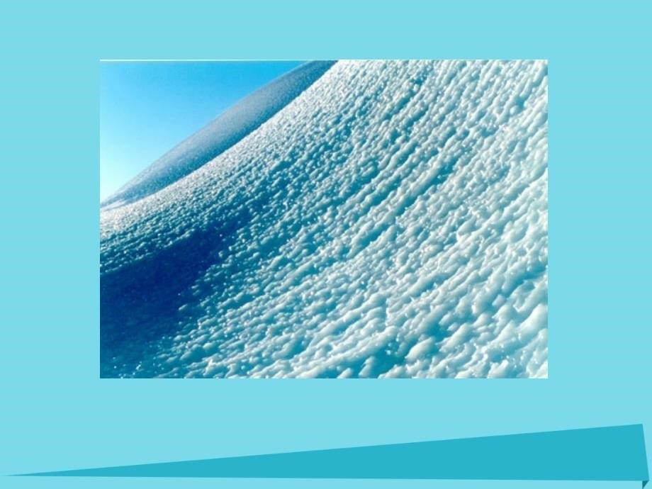 2017秋三年级语文上册 第28课 南极一片净土课件 语文S版_第5页