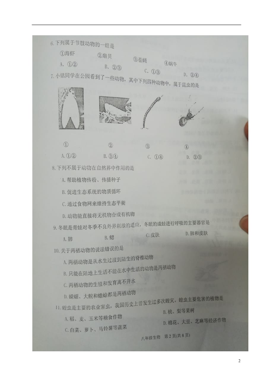天津市滨海新区八年级生物上学期期末考试试题（扫描版）新人教版_第2页