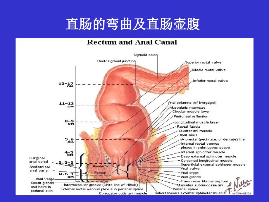 结直肠肛管疾病课件(1)_第4页