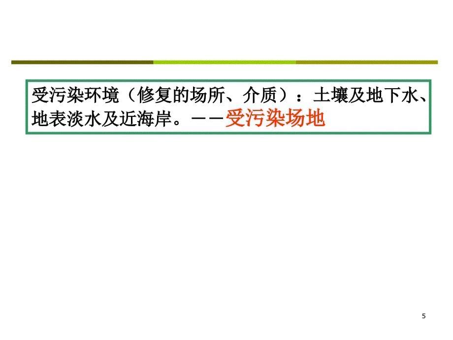 污染场地修复流程及其评价PPT幻灯片课件_第5页