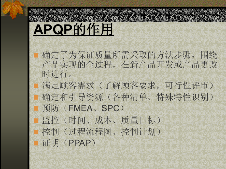 APQP培训教材 2013最新版_第3页