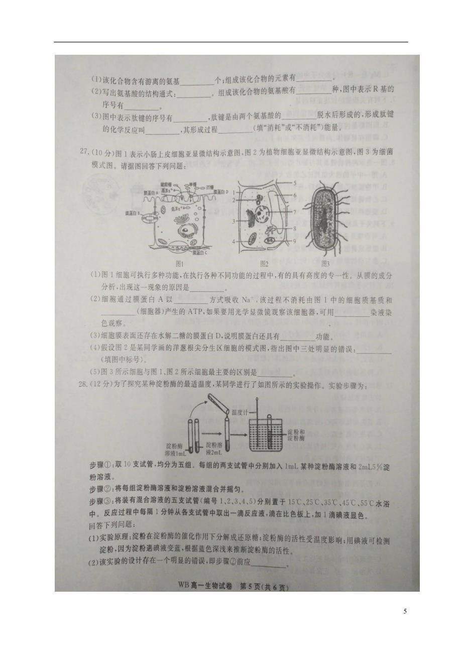 安徽省皖北名校联盟高一生物上学期期末联考试题（扫描版）_第5页