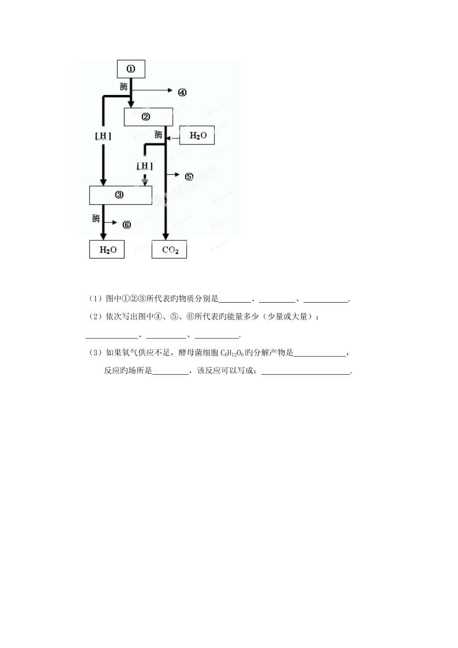 河南分校18_19学度高一下期前考试_生物_第5页