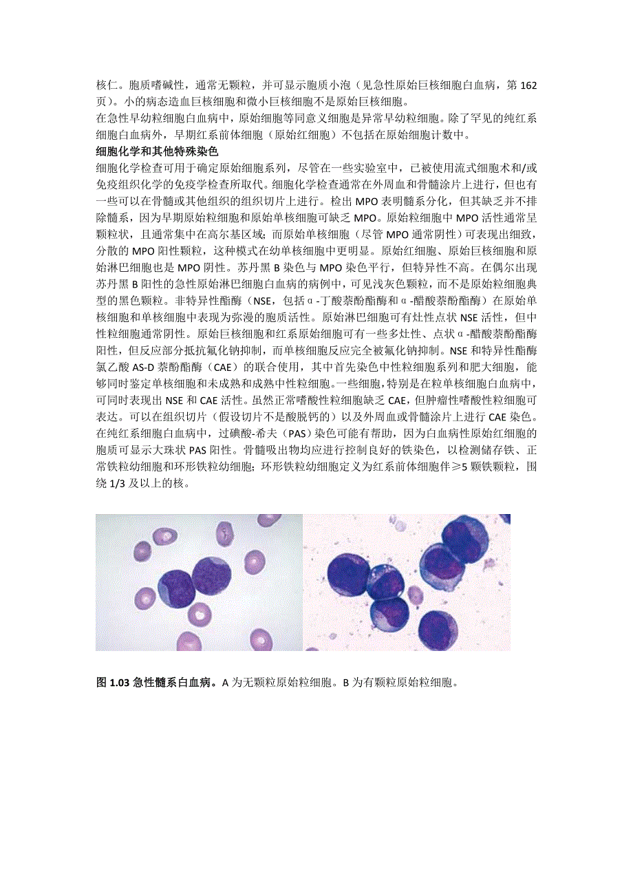 WHO髓系肿瘤分类原则.doc_第4页