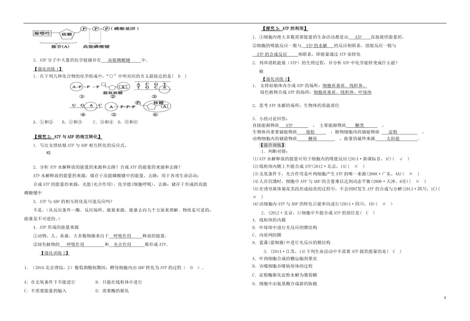 山东省日照市高三生物一轮复习第3讲ATP在能量代谢中的作用学案（无答案）_第3页