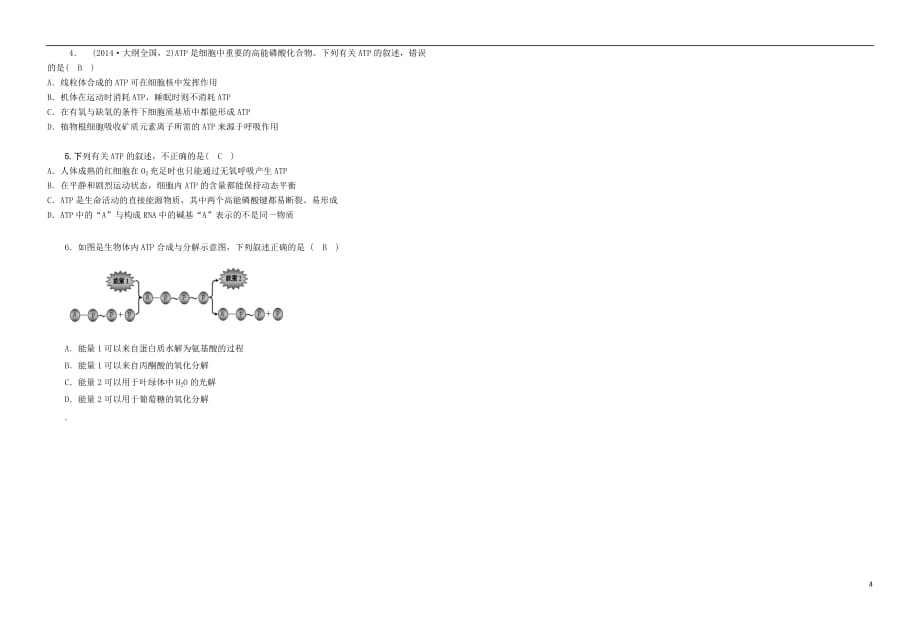 山东省日照市高三生物一轮复习第3讲ATP在能量代谢中的作用学案（无答案）_第4页