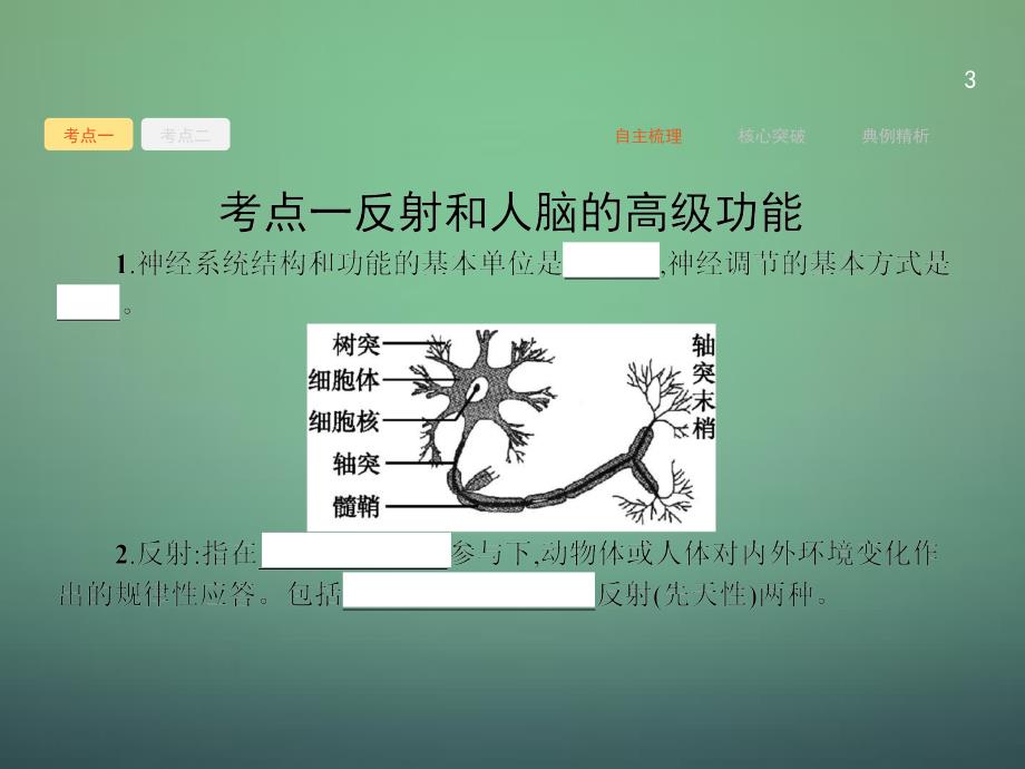 2016届高三生物一轮复习-9.2通过神经系统的调节课件._第3页