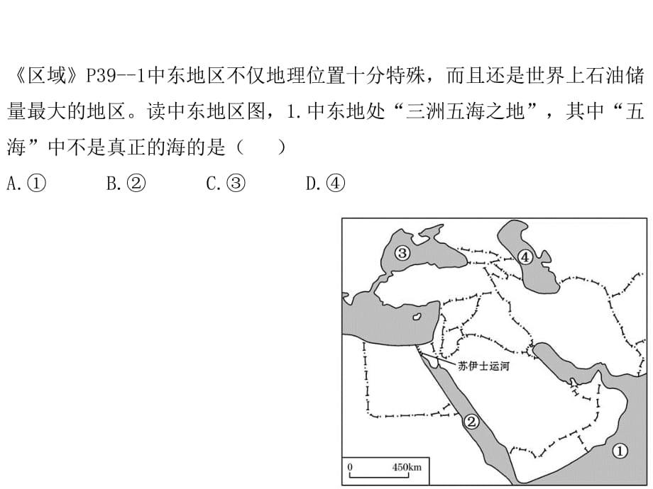 2011中亚与西亚—北非_第5页