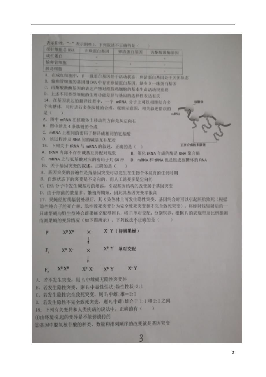 山东省高二生物12月月考试题（扫描版）_第3页