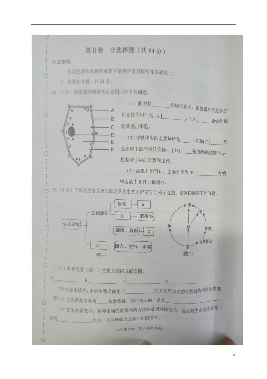 天津市滨海新区七年级生物上学期期末考试试题（扫描版）新人教版_第5页