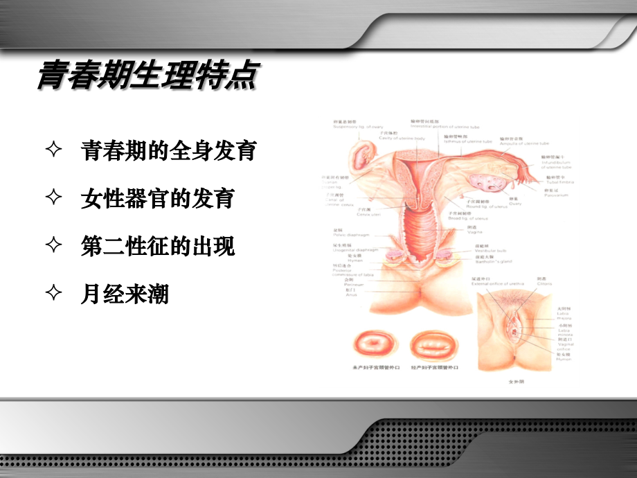 常见妇科疾病的诊治及青春期性教育吕杰强课件_第3页