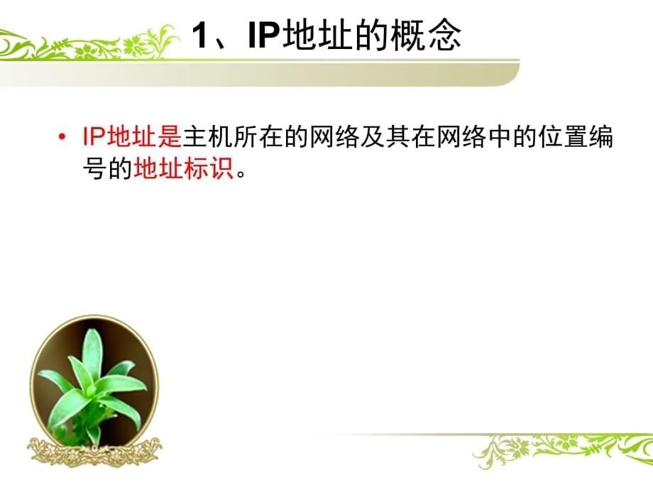 IP地址及其管理课件_第5页