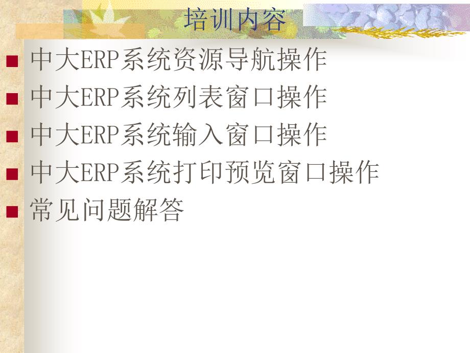 ERP系统管理模块操作培训教材(二)_第2页