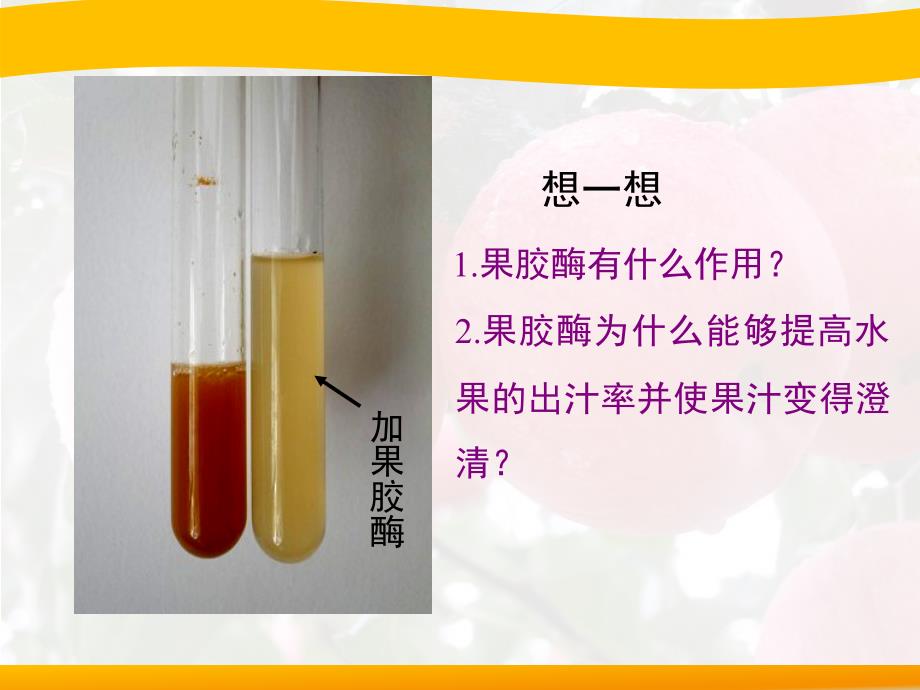 《果胶酶在果汁生产中的作用》PPT幻灯片课件_第4页