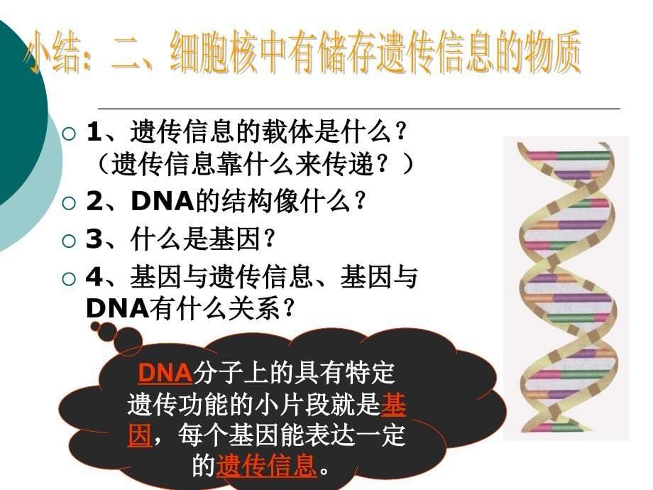 gwy人教版七年级初一上册生物《细胞核是遗传信息库》_第5页