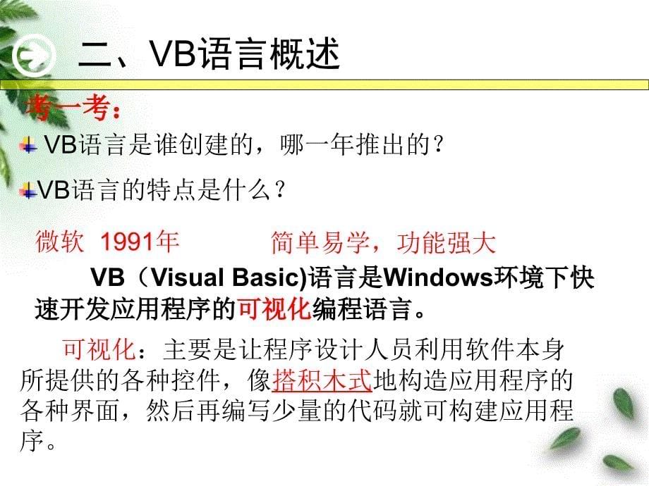 VB的可视化开发环境-课件1_第5页
