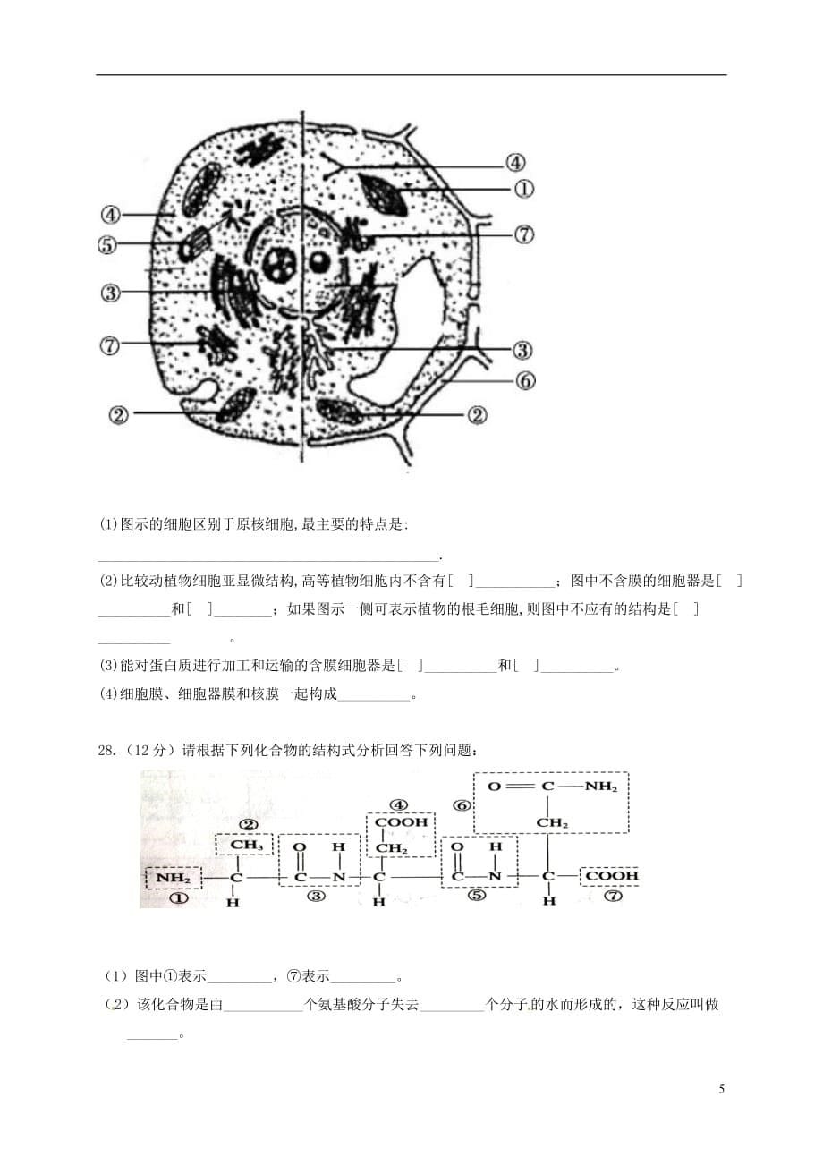 高二生物上学期期中（第五次学分认定）试题文_第5页