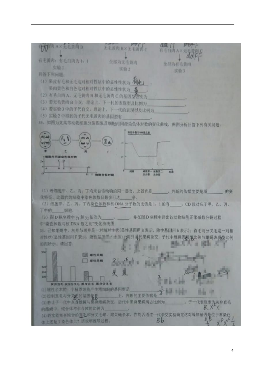 山东省高二生物10月阶段性考试试题（扫描版）_第4页