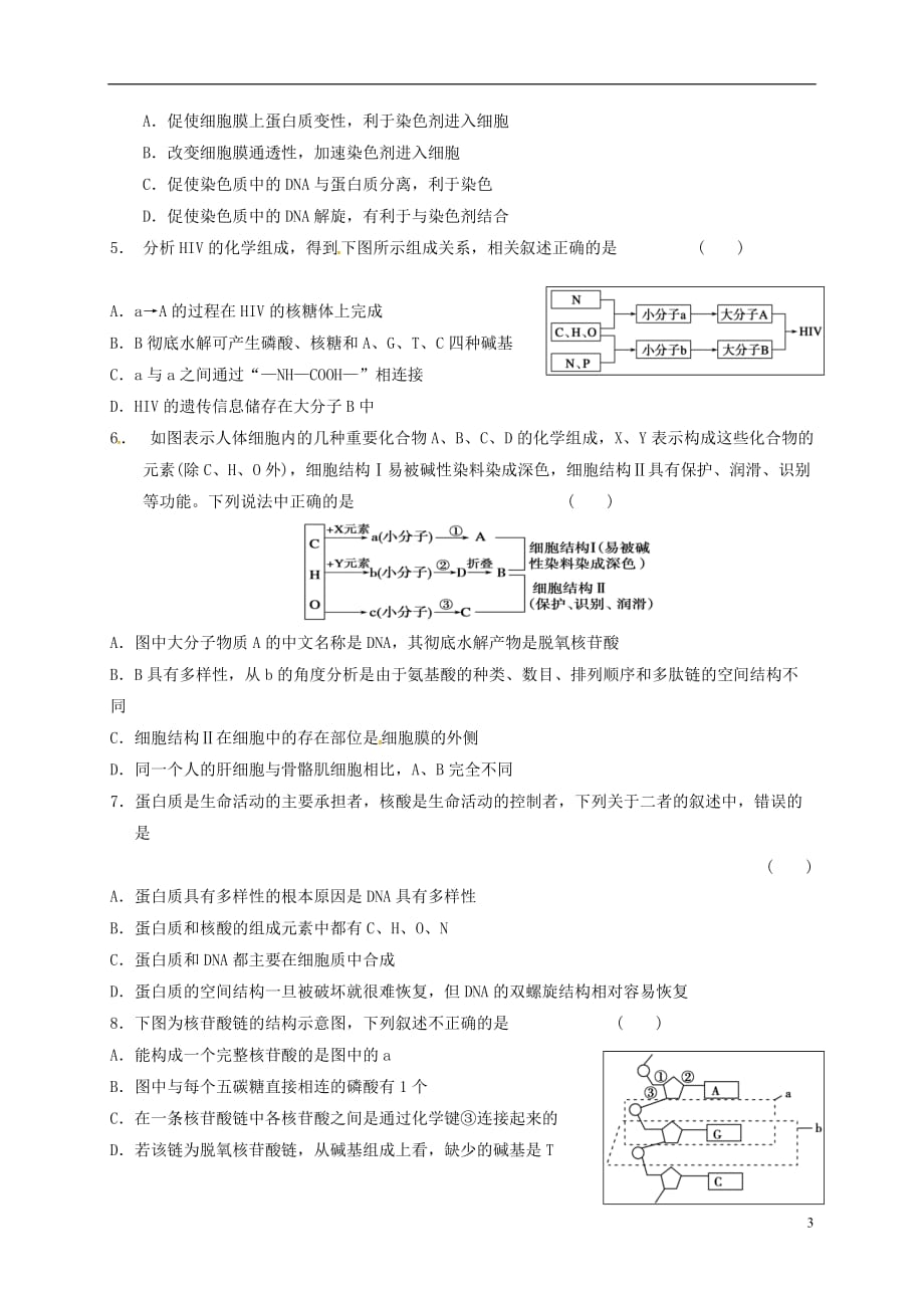 山东省乐陵市第一中学高三生物核酸复习学案_第3页