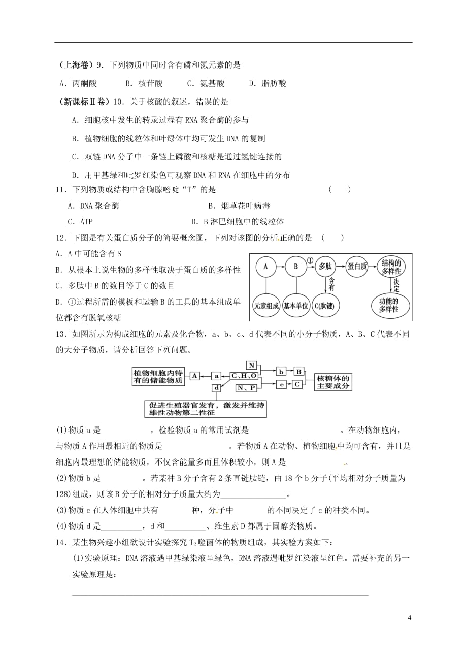 山东省乐陵市第一中学高三生物核酸复习学案_第4页