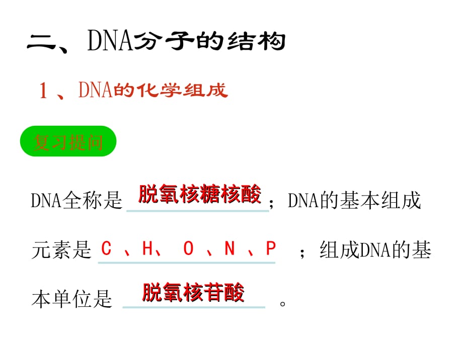 DNA分子平面结构微课_第3页