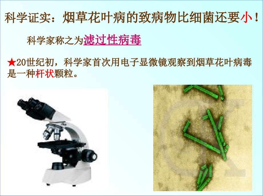 八年级生物：新人教版八年级生物上册病毒精品中学课件_第3页