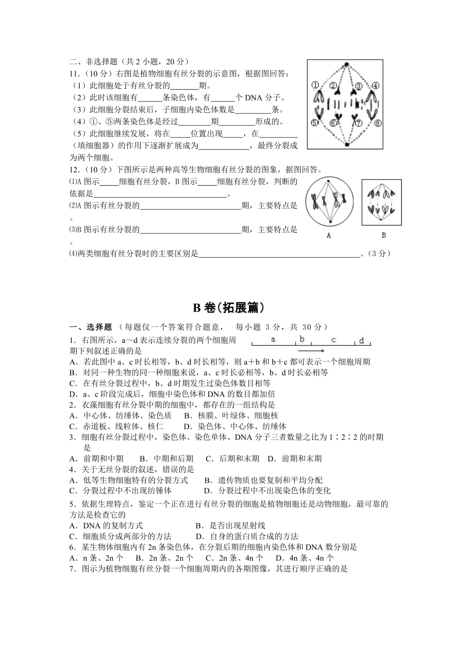 细胞增殖测试题.doc_第2页